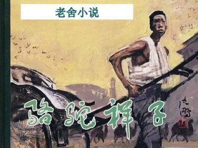 宝贝轻点张泽禹